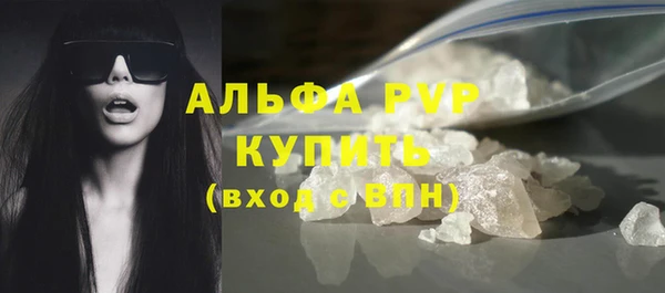индика Няндома