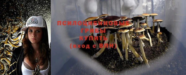 MDMA Новокубанск