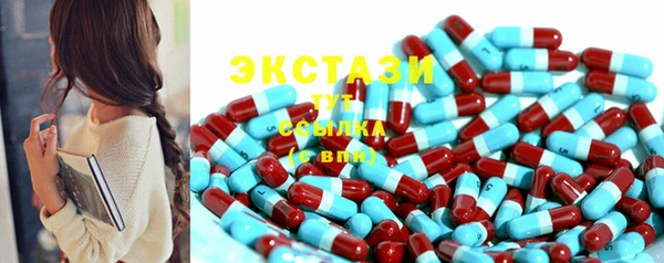 шишки Гусиноозёрск