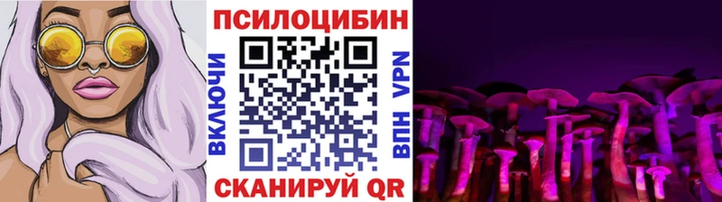 Галлюциногенные грибы мицелий  где продают наркотики  Никольское 